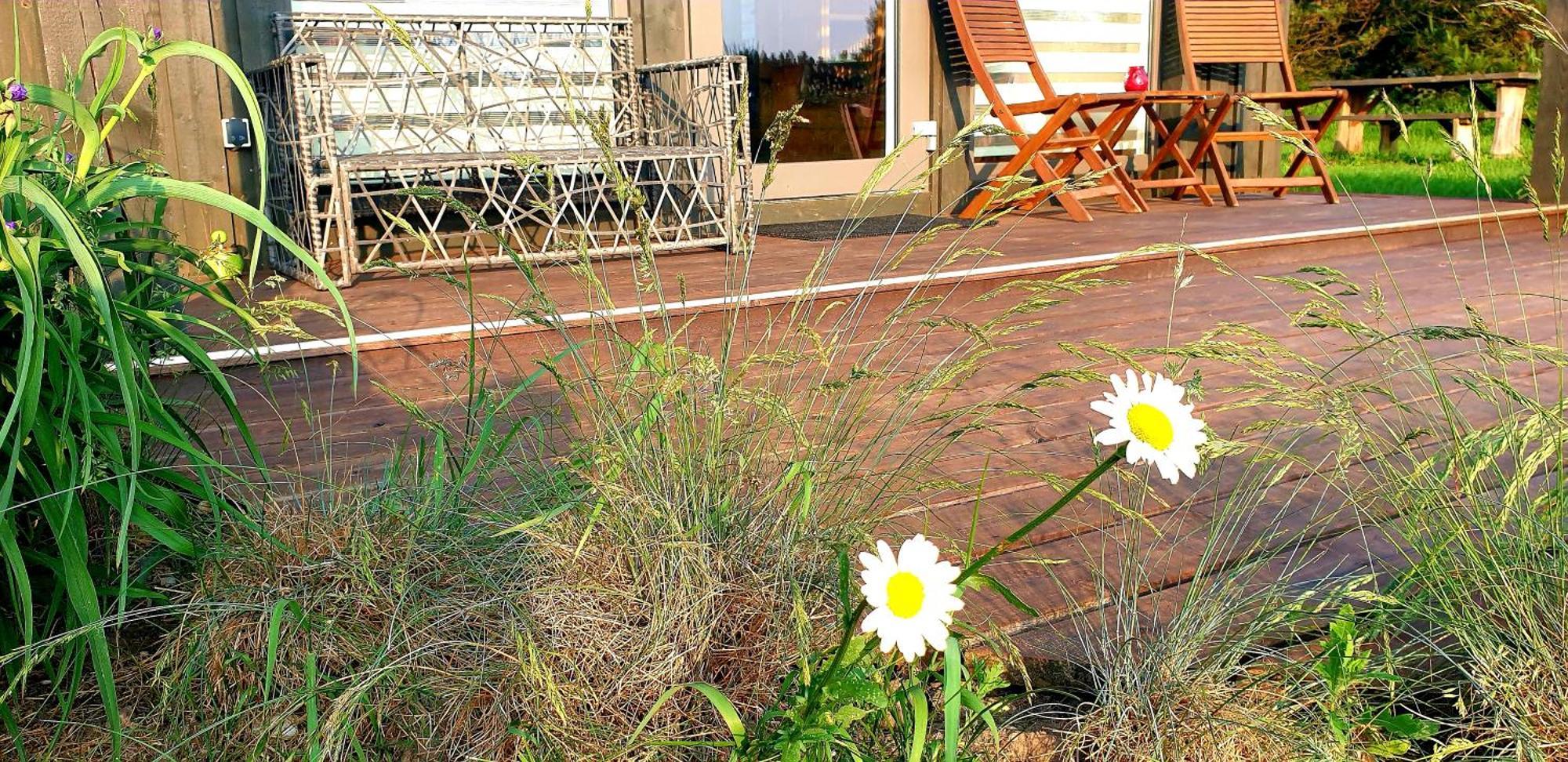 Anna'S Home Jurmalciems Dış mekan fotoğraf